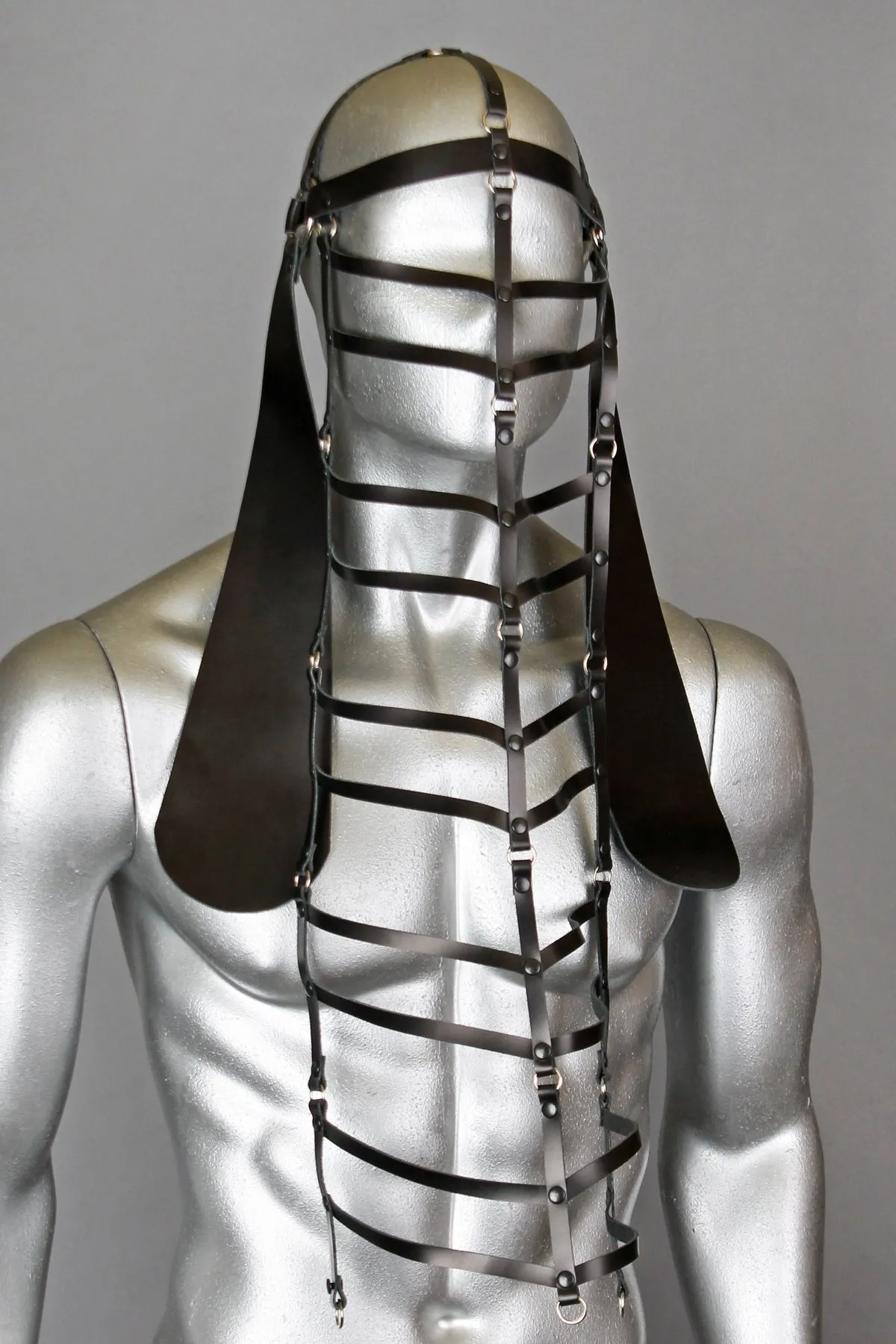 Darmara - Darmara male cage - HEADGEAR VIII (2020)